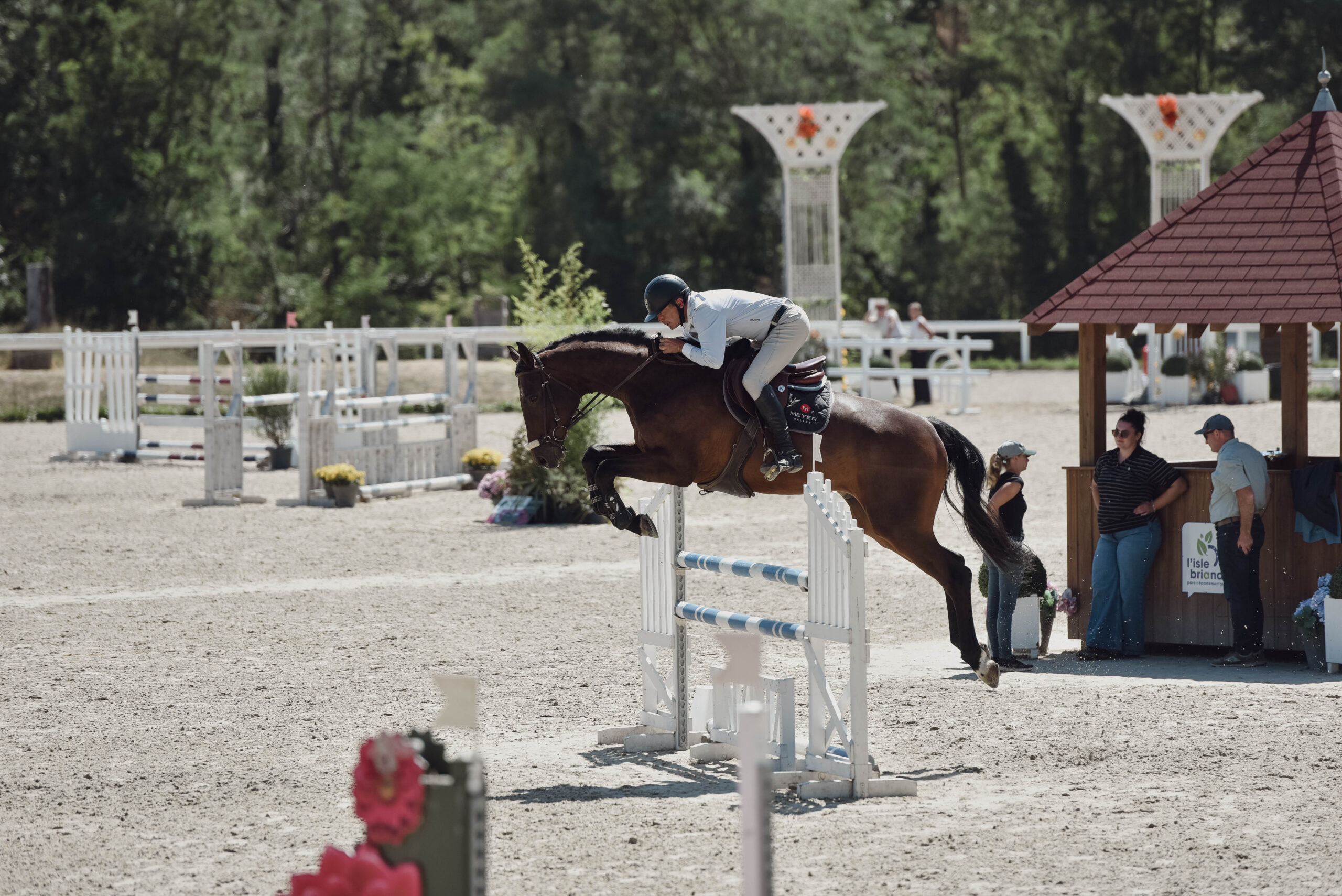 Cheval de sport en concours