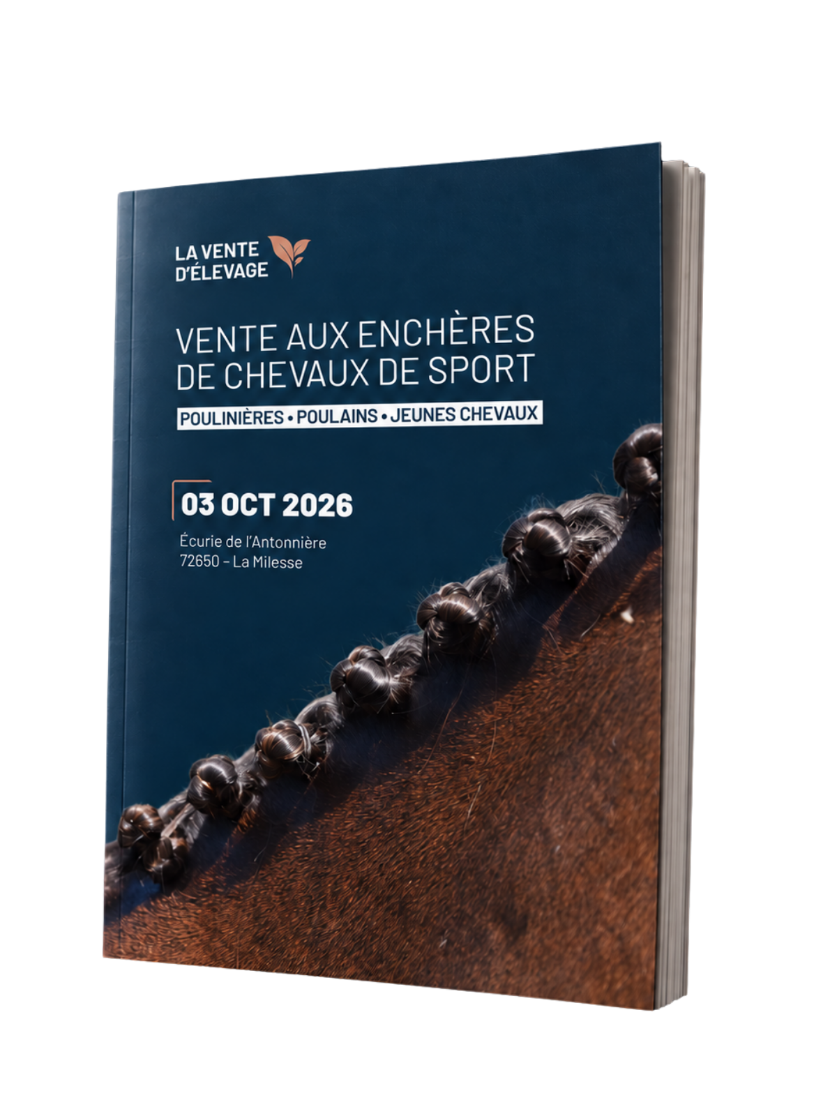 Catalogue de la vente aux enchères de chevaux 2026