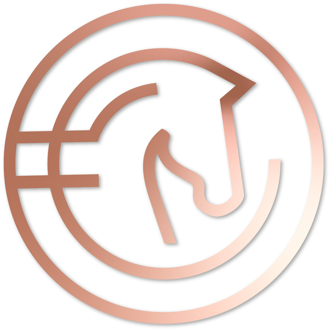 Logo Team Antonnière